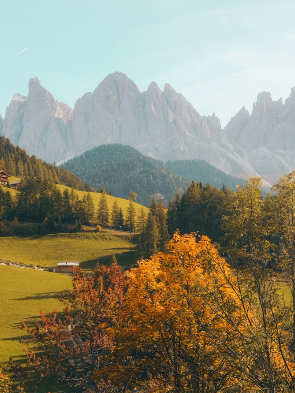 Sample Page Natures 02